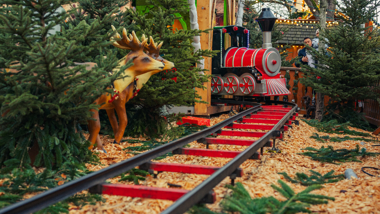 Die Lokomotive im weihnachtlichen Kinderland St. Stephan dreht ihre Runden