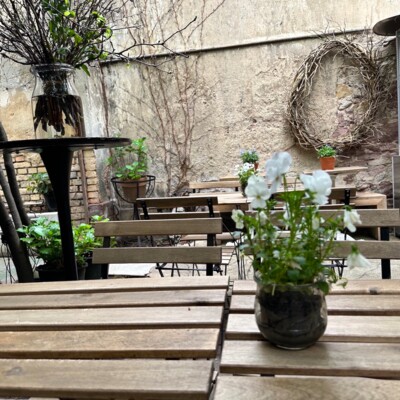 Espace extérieur confortable dans l'arrière-cour